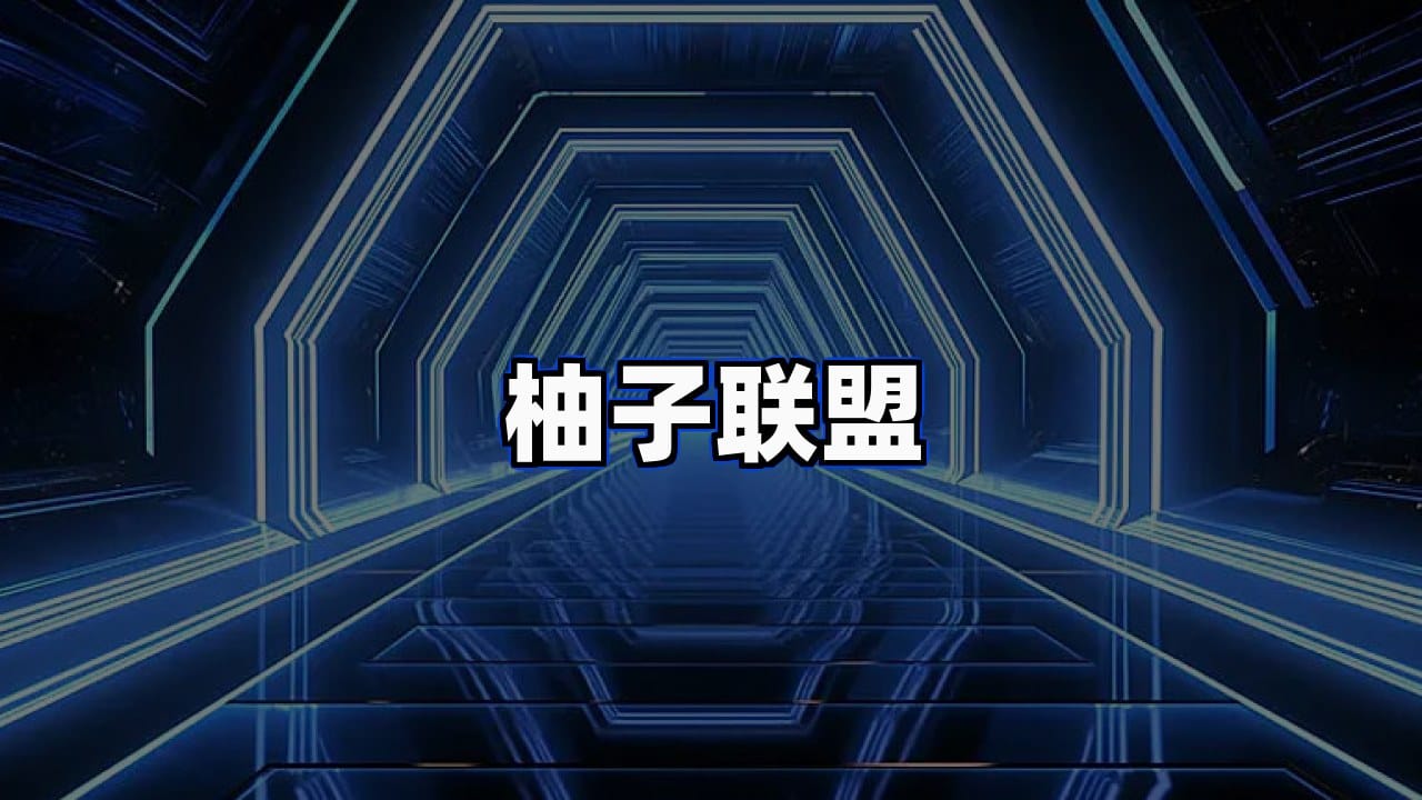 关于柚子联盟